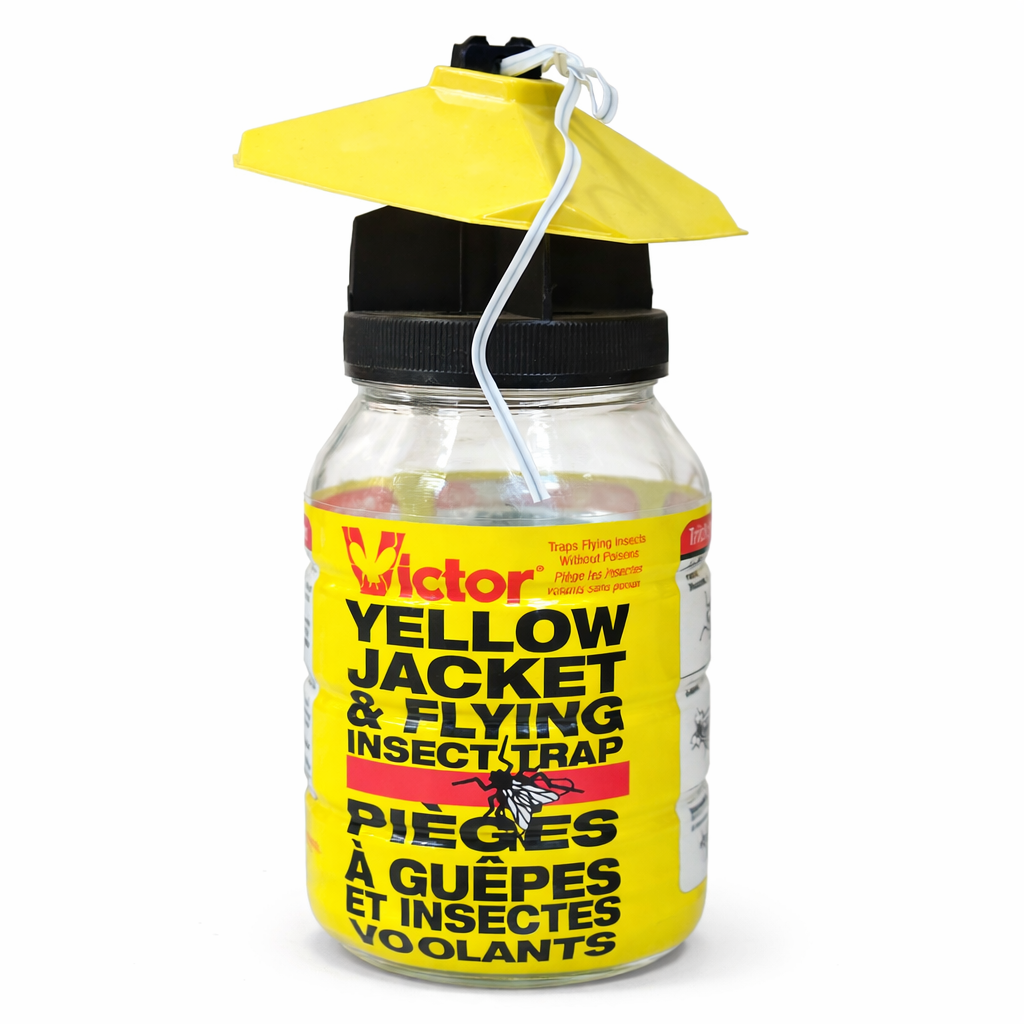 PIEGE GUEPE+APPAT VICTOR