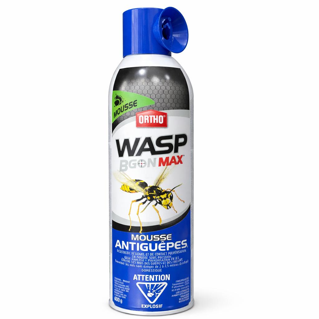 INSECTICIDE MOUSSE GUÊPE 400G